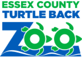 Turtle Back Zoo featured image