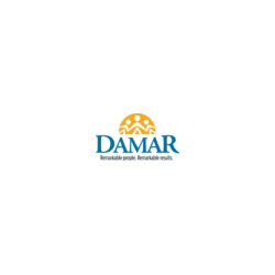 Damar Services, Inc. Logo