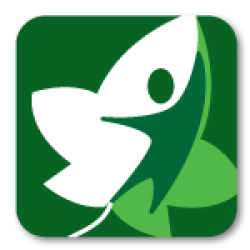 Kelly Matthews Logo