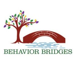 Behavior Bridges Logo