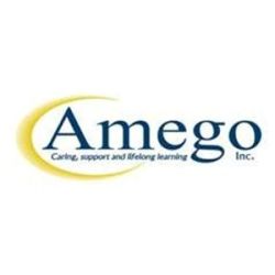 Amego, Inc Logo