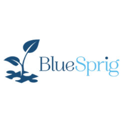 BlueSprig Logo